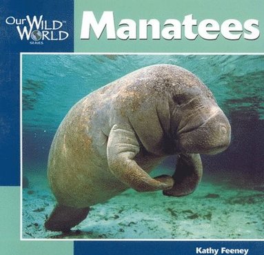 Kathy Feeney - Manatees, Häftad