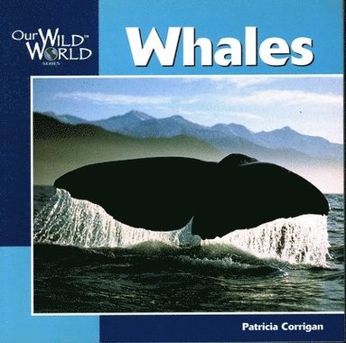 Patricia Corrigan - Whales, Häftad