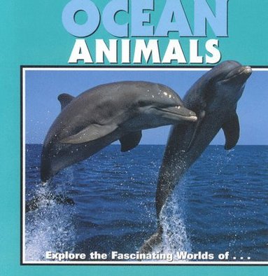 Laura Evert, Kathy Feeney, Patricia Corrigan - Ocean Animals, Inbunden
