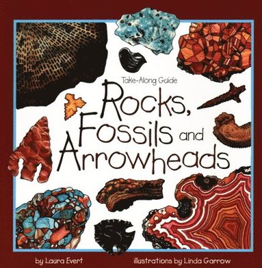 bokomslag Rocks, Fossils & Arrowheads