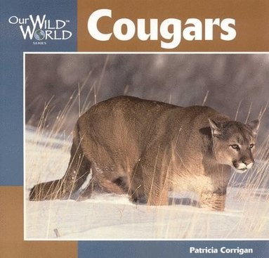 Patricia Corrigan - Cougars, Häftad