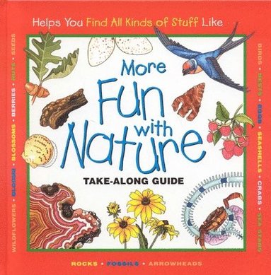 Diane Burns, Laura Evert, Christiane Tibbits, Mel Boring - More Fun with Nature, Inbunden