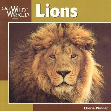 Cherie Winner - Lions, Inbunden