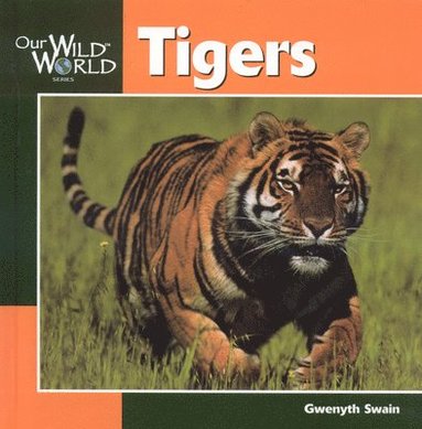 Gwenyth Swain - Tigers, Inbunden