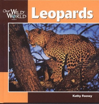 Kathy Feeney - Leopards, Inbunden