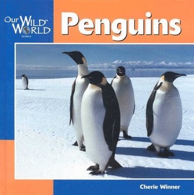 Cherie Winner - Penguins, Inbunden