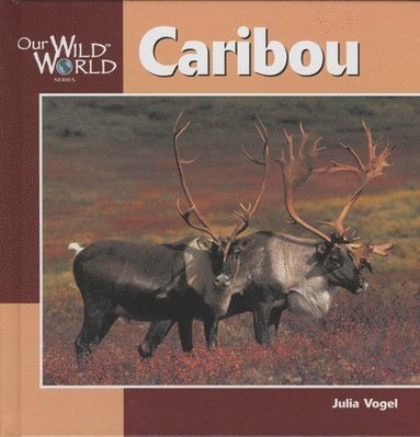 Julia Vogel - Caribou, Häftad