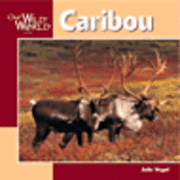 bokomslag Caribou