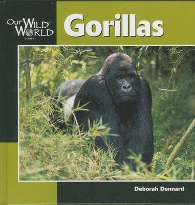 bokomslag Gorillas