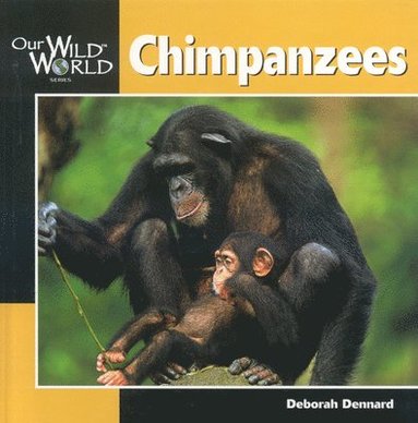 bokomslag Chimpanzees