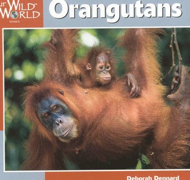 Deborah Dennard - Orangutans, Inbunden