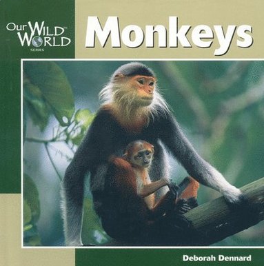 bokomslag Monkeys