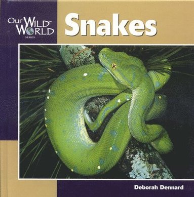 Deborah Dennard - Snakes, Inbunden