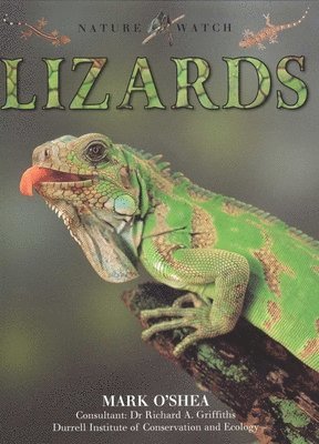 Deborah Dennard - Lizards, Häftad