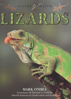 Deborah Dennard - Lizards, Häftad
