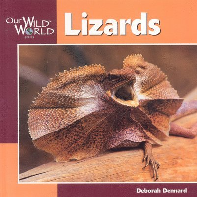 Lizards 1