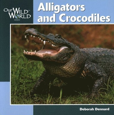 Deborah Dennard - Alligators and Crocodiles, Häftad