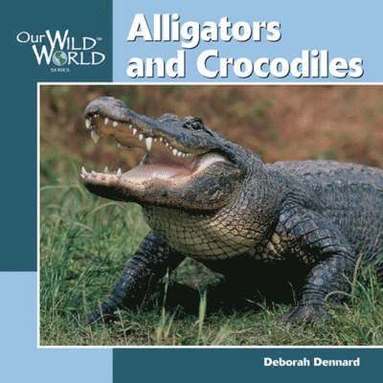 Deborah Dennard - Alligators and Crocodiles, Inbunden