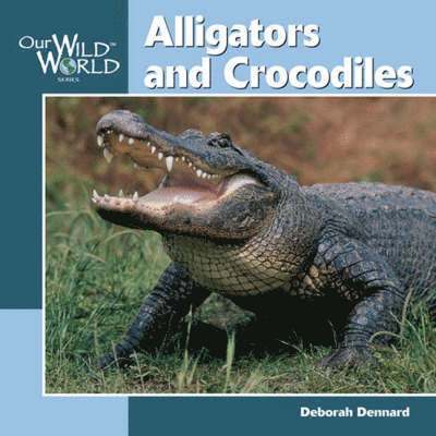 Alligators and Crocodiles 1