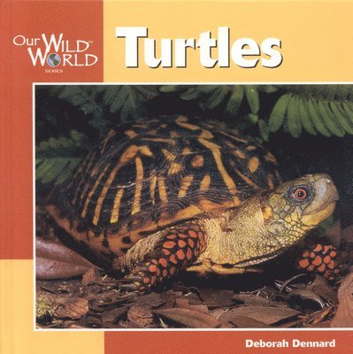 Deborah Dennard - Turtles, Häftad