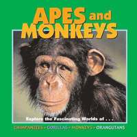 bokomslag Apes and Monkeys