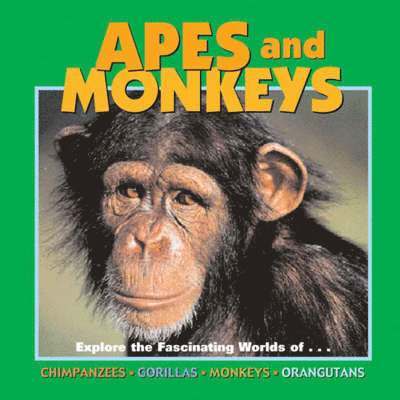 Deborah Dennard - Apes and Monkeys, Inbunden