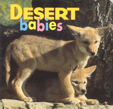 bokomslag Desert Babies