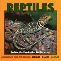 bokomslag Reptiles