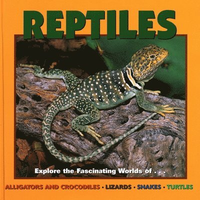 Reptiles 1