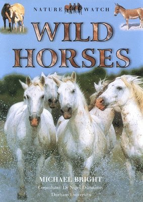 Wild Horses 1