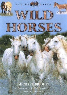 Julia Vogel - Wild Horses, Häftad