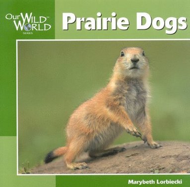 Marybeth Lorbiecki - Prairie Dogs, Inbunden