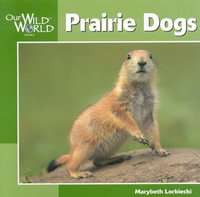 bokomslag Prairie Dogs