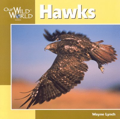Wayne Lynch - Hawks, Häftad. Tillgänglighet: Tillfälligt slut