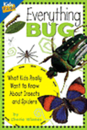 Everything Bug 1