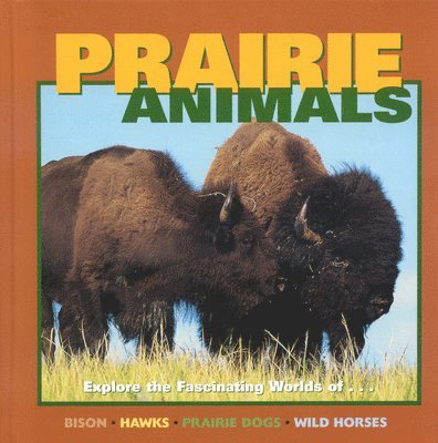 Prairie Animals 1