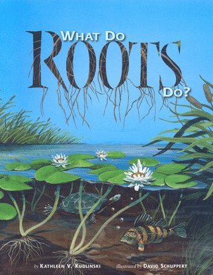 What Do Roots Do? 1