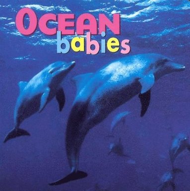 Kristen McCurry - Ocean Babies BD, Inbunden