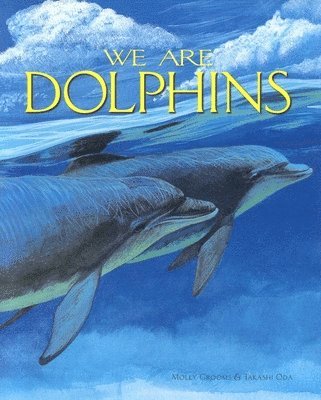 Molly Grooms - We are Dolphins, Häftad