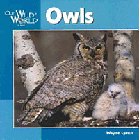 bokomslag Owls