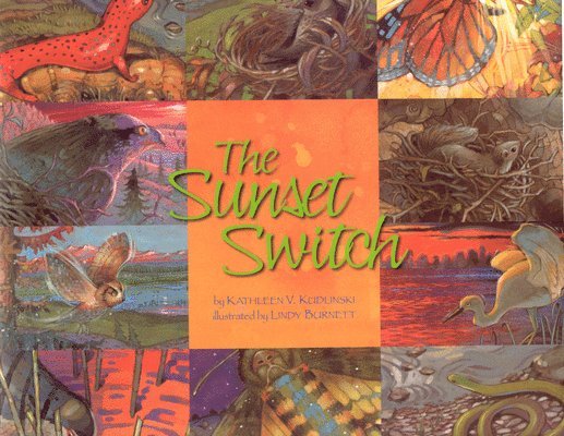 The Sunset Switch 1