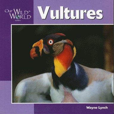 Wayne Lynch - Vultures, Häftad