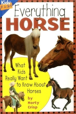 Everything Horse 1