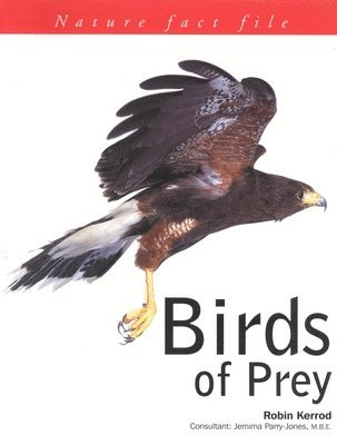 Wayne Lynch, Laura Evert - Birds of Prey, Inbunden