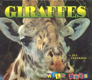 bokomslag Giraffes