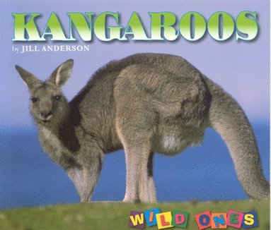 bokomslag Kangaroos