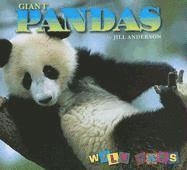 bokomslag Giant Pandas