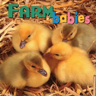 Kristen McCurry - Farm Babies, Kartonnage