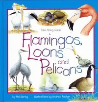 bokomslag Flamingos, Loons & Pelicans