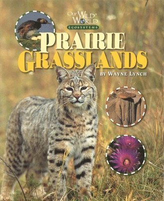 Wayne Lynch - Prairie Grasslands, Häftad